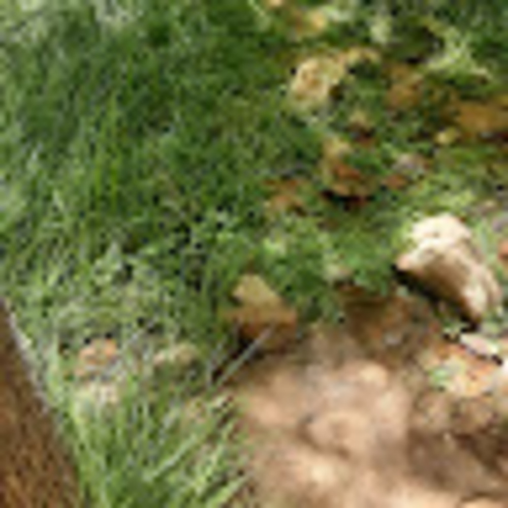 Meet your Posher, Jenny